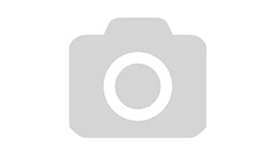 Лучше звоните Солу 5 сезон 10 серия